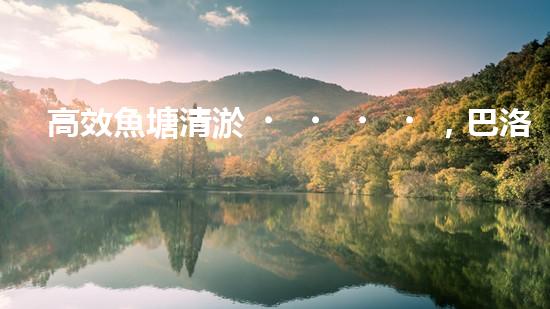 高效魚塘清淤，巴洛仕設(shè)備助力生態(tài)養(yǎng)殖